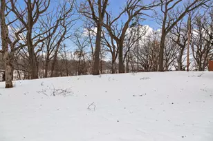 306 Floral Dr W, Shoreview, MN 55126 - Photo 48