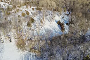 24131 Mn Hwy 15, Dassel, MN 55325 - Photo 44