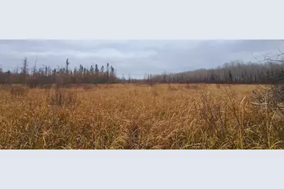 Tbd (Parcel C) Olson Road, Hinckley, MN 55037 - Photo 22