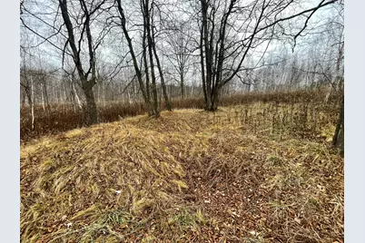 Tbd (Parcel C) Olson Road, Hinckley, MN 55037 - Photo 20