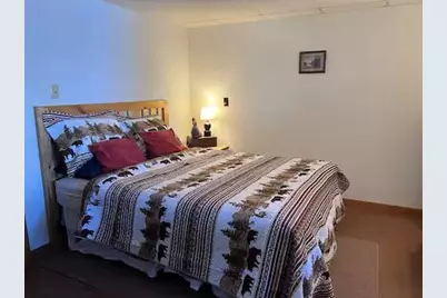 5834 County 4 NE, Remer, MN 56672 - Photo 2