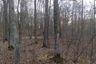 28153 E Hardwood Ln, Brook Park, MN 55007 - Photo 40