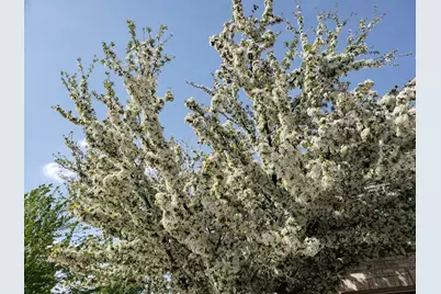 18434 Bearpath Trail, Eden Prairie, MN 55347 - Photo 106