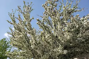 18434 Bearpath Trail, Eden Prairie, MN 55347 - Photo 106