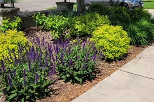 18434 Bearpath Trail, Eden Prairie, MN 55347 - Photo 104