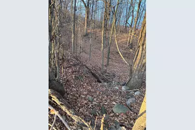 Lot 1 Cty Rd B, Woodville, WI 54028 - Photo 8