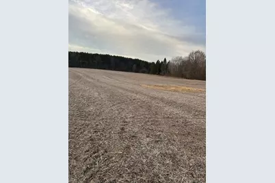 Lot 1 Cty Rd B, Woodville, WI 54028 - Photo 2