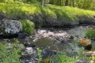 15370 Mallard, Mission Creek Twp, MN 55007 - Photo 2