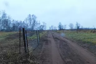 15370 Mallard, Mission Creek Twp, MN 55007 - Photo 12