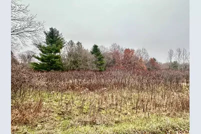 Lot 1 County Rd M, River Falls, WI 54022 - Photo 6