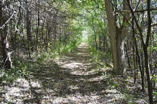 37350 County 14 Blvd, Warsaw Twp, MN 55018 - Photo 86