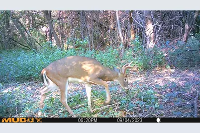 37350 County 14 Boulevard, Warsaw Twp, MN 55018 - Photo 92