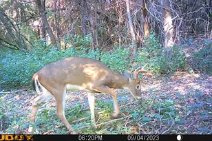 37350 County 14 Blvd, Warsaw Twp, MN 55018 - Photo 92