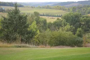 37350 County 14 Blvd, Warsaw Twp, MN 55018 - Photo 72