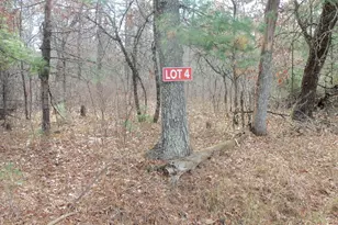Lot 4 McLain Rd, Grantsburg, WI 54840 - Photo 1