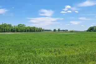 Xxx 455th Ave, Arlington, MN 55307 - Photo 1