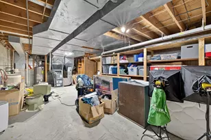 75 Wilson St, Lewiston, MN 55952 - Photo 46