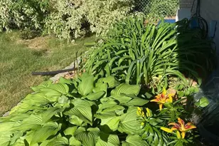 1297 Pinewood Dr, Woodbury, MN 55125 - Photo 60