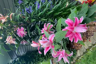 1297 Pinewood Dr, Woodbury, MN 55125 - Photo 58