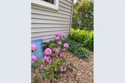 1297 Pinewood Drive, Woodbury, MN 55125 - Photo 54