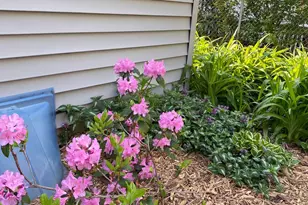 1297 Pinewood Dr, Woodbury, MN 55125 - Photo 54