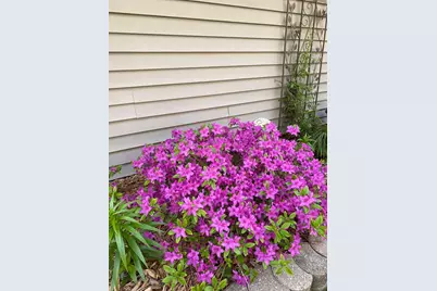 1297 Pinewood Drive, Woodbury, MN 55125 - Photo 52