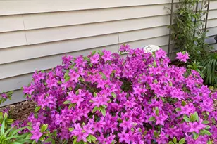 1297 Pinewood Dr, Woodbury, MN 55125 - Photo 52