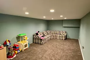 111 Cherry Ave, Bird Island, MN 55310 - Photo 24