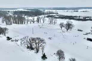 25193 335th Ave, Long Prairie, MN 56347 - Photo 54