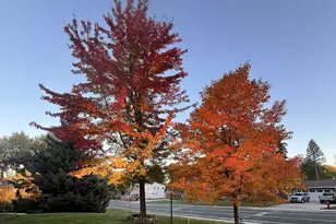 1706 W 86th St, Bloomington, MN 55431 - Photo 32