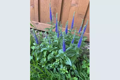 1706 W 86th Street, Bloomington, MN 55431 - Photo 44