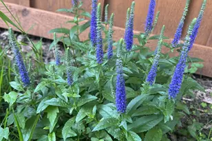 1706 W 86th St, Bloomington, MN 55431 - Photo 44