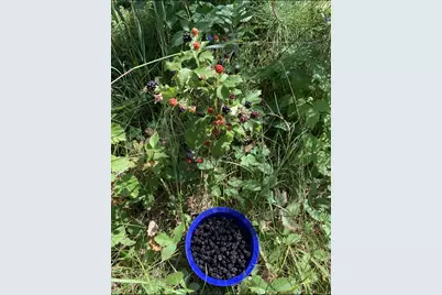 239 County 49 NW, Pine River, MN 56474 - Photo 84