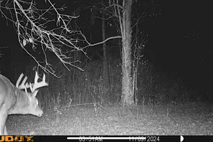 239 County 49 NW, Pine River, MN 56474 - Photo 68