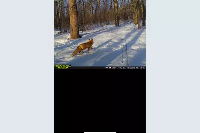 239 County 49 NW, Pine River, MN 56474 - Photo 86