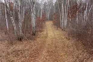 239 County 49 NW, Pine River, MN 56474 - Photo 18