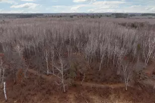 239 County 49 NW, Pine River, MN 56474 - Photo 16