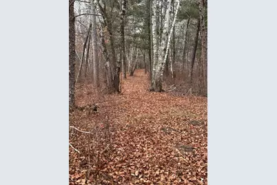 239 County 49 NW, Pine River, MN 56474 - Photo 100