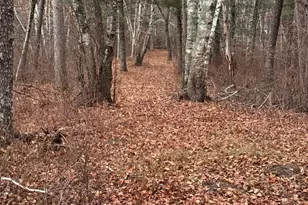 239 County 49 NW, Pine River, MN 56474 - Photo 100