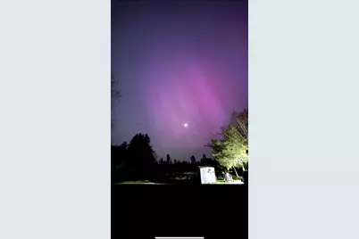 239 County 49 NW, Pine River, MN 56474 - Photo 94