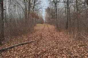 239 County 49 NW, Pine River, MN 56474 - Photo 102