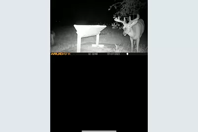 239 County 49 NW, Pine River, MN 56474 - Photo 74