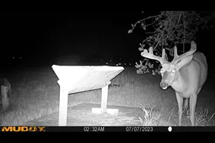 239 County 49 NW, Pine River, MN 56474 - Photo 74