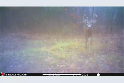 239 County 49 NW, Pine River, MN 56474 - Photo 70