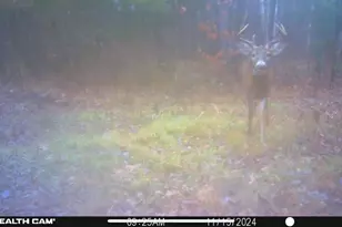 239 County 49 NW, Pine River, MN 56474 - Photo 70