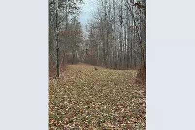 239 County 49 NW, Pine River, MN 56474 - Photo 98