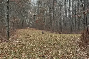 239 County 49 NW, Pine River, MN 56474 - Photo 98