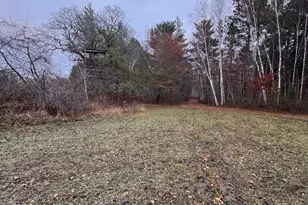 239 County 49 NW, Pine River, MN 56474 - Photo 96