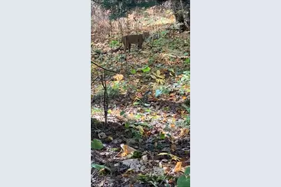 239 County 49 NW, Pine River, MN 56474 - Photo 84