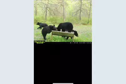 239 County 49 NW, Pine River, MN 56474 - Photo 76